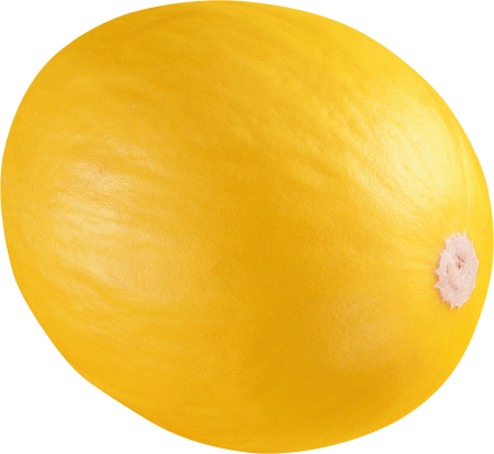 Дыня круглая желтая
