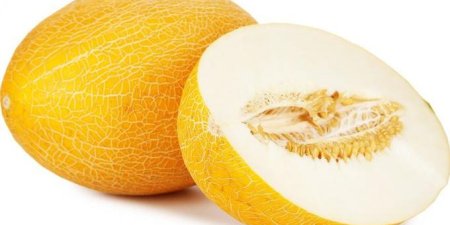 Дыня Гуляби зеленая