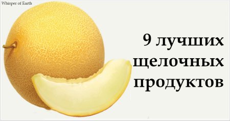 Канарка дыня
