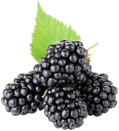 BLACKBERRY ежевика