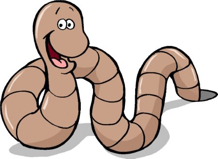 Worms черви