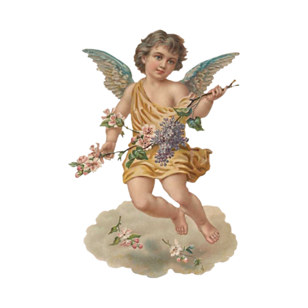 Angel PNG