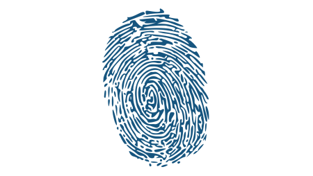 Цифровой отпечаток (Digital Fingerprint)