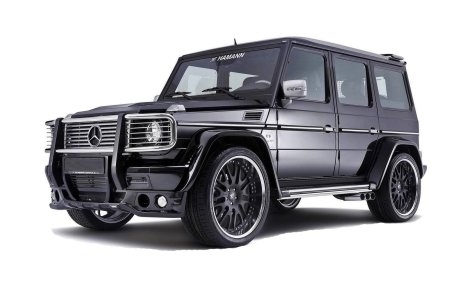 Mercedes g65 w463 вектор