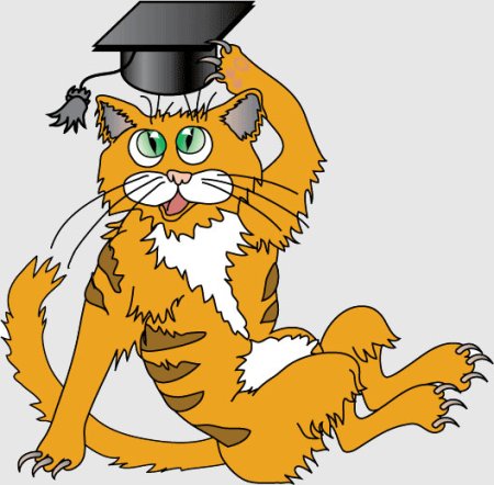 Кот ученый на прозрачном фоне