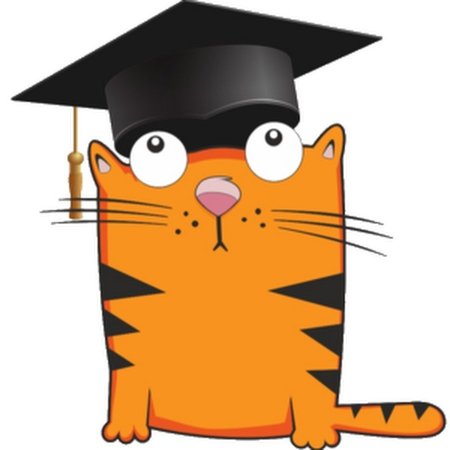 Котик ученый