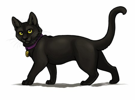 Кот ученый на прозрачном фоне