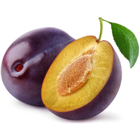 Слива в разрезе