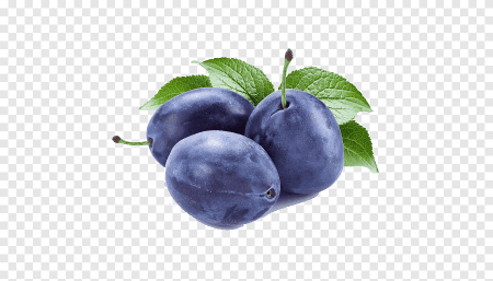Слива чернослив