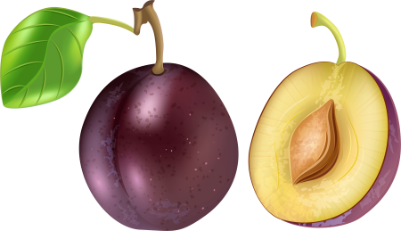 Слива для детей