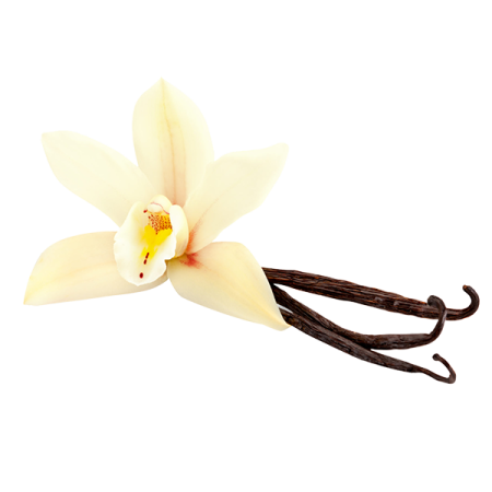 Лия ванили
