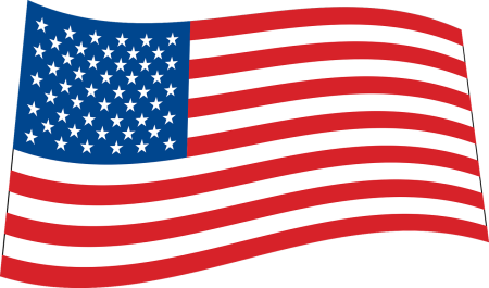 Флаг США вектор