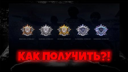 Медаль ветерана 2021 в Standoff