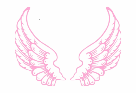 Розовые Крылья