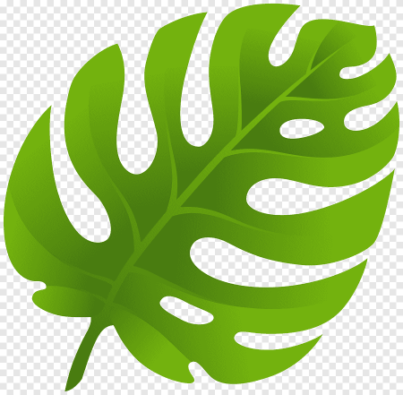 Листья Monstera вектор
