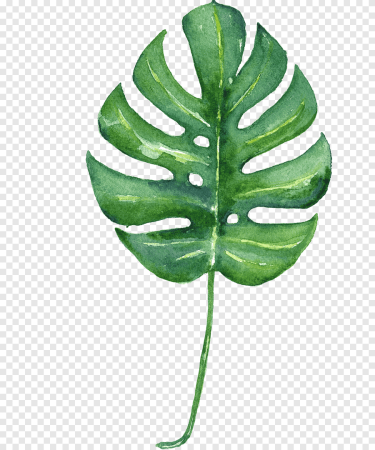Monstera Leaf Painting