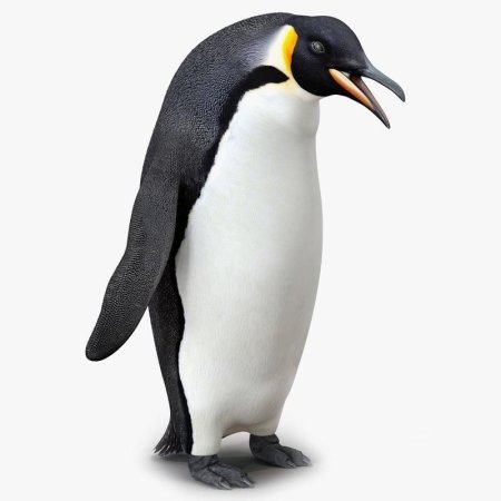 Императорский Пингвин 3d