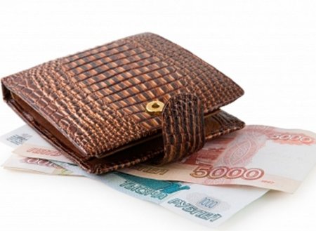 Портмоне с рублями