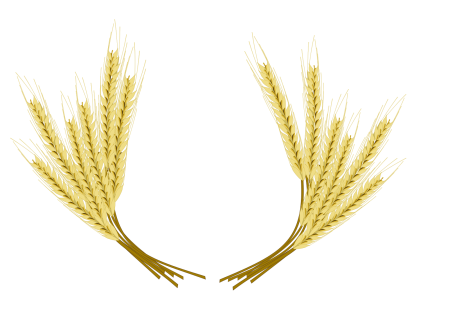 Wheat Barley вектор