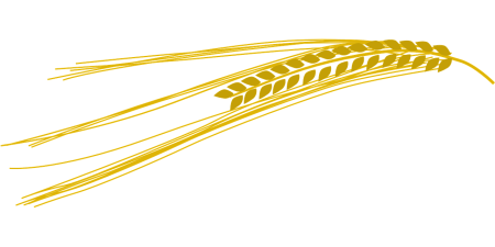 Золотой колосок