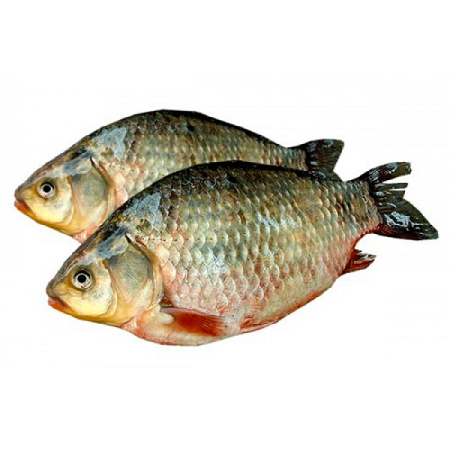 Карась Курганский свежемороженный