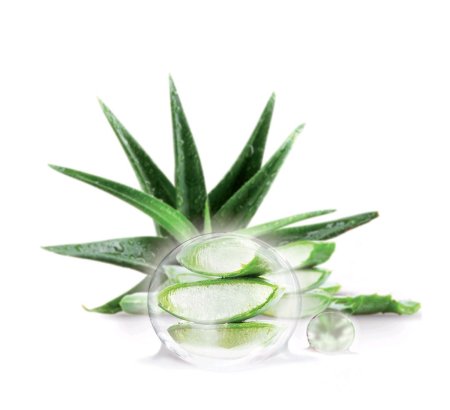 Алоэ Вера капля