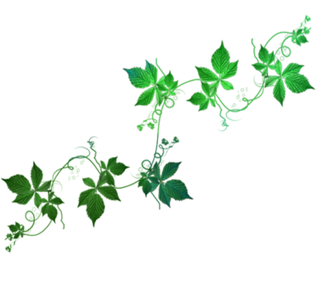 Вьющиеся листья