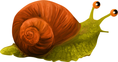 Улитка без фона