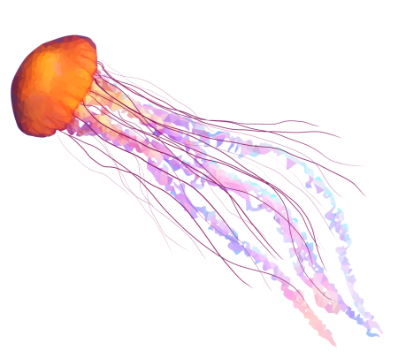 Chrysaora fuscescens