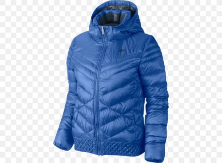Nike Metallic down Jacket