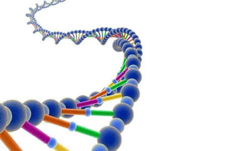 Nucleic acids DNA RNA