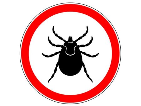 Клещ иконка