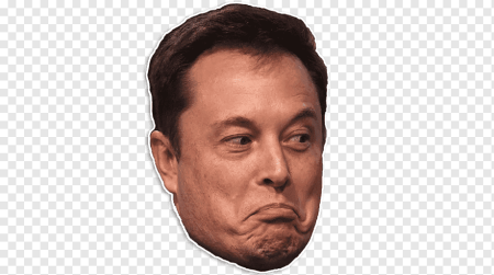 Elon Musk face