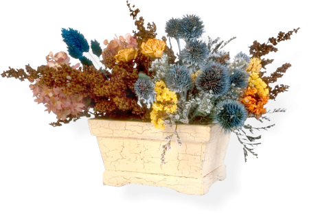 Букет сухоцветов на прозрачном фоне