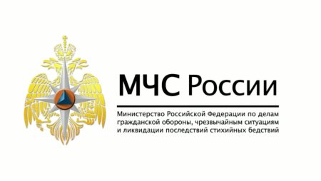 Министерство по чрезвычайным ситуациям (МЧС России)