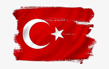 Турция флаг 1877