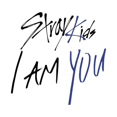 Stray Kids знак группы