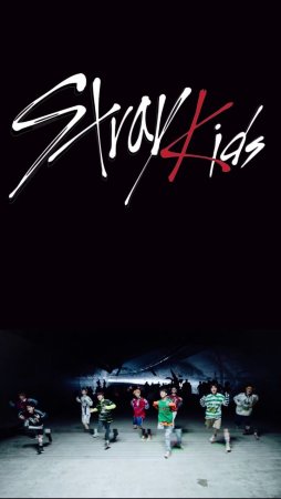 Логотип фандома Stray Kids