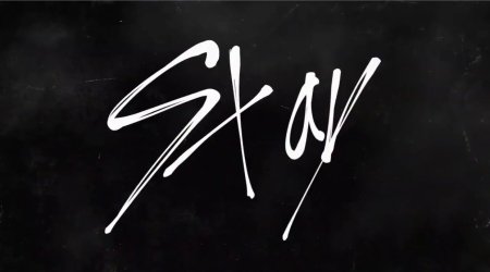 Группа Stray Kids лого