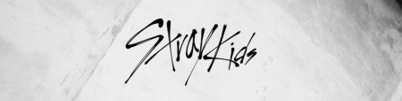 Автографы Stray Kids