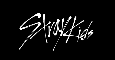 Stray Kids логотип группы