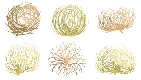 Tumbleweed вектор