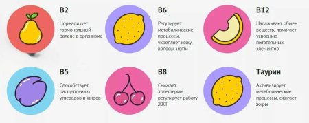 Обновление клеток в организме