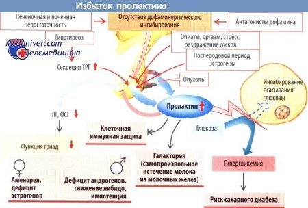 Пролактин рилизинг гормон