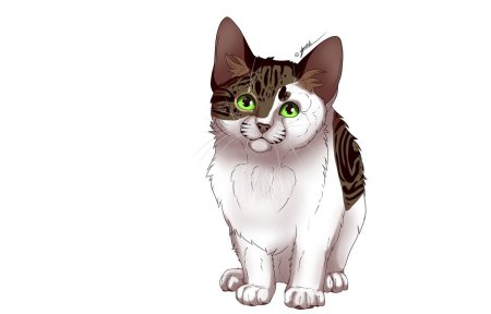 Мультяшный кот