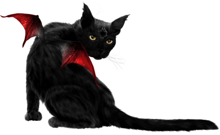 Черная кошка без фона