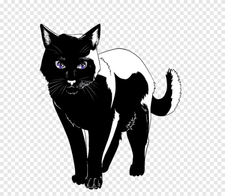 Котик арт на белом фоне