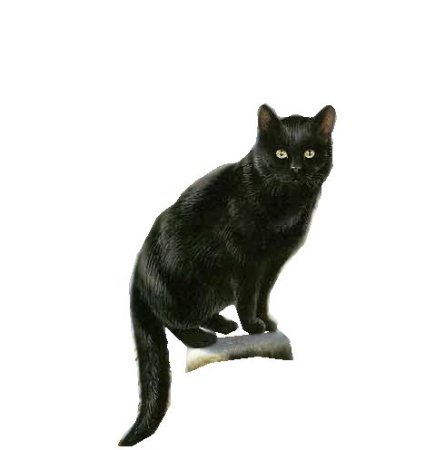 Анимированная кошка