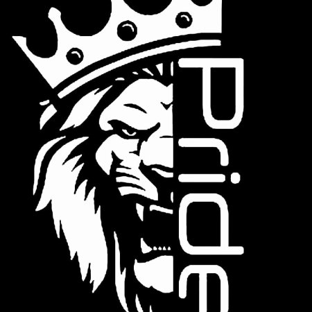 Pride car Audio наклейка
