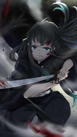 Demon Slayer Муичиро